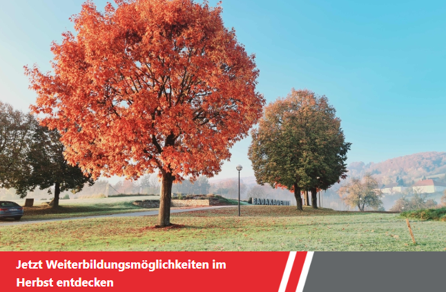 Teaserbild als dekoratives Element